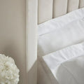 Champagne Bed Frame - Sofista Living LTD 